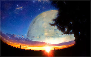 Meet your Posher, Presley